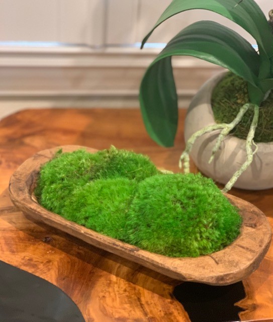 Moss Petite Wooden Dish - Click Image to Close